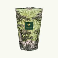 baobab collection sacred trees touba candle max 35