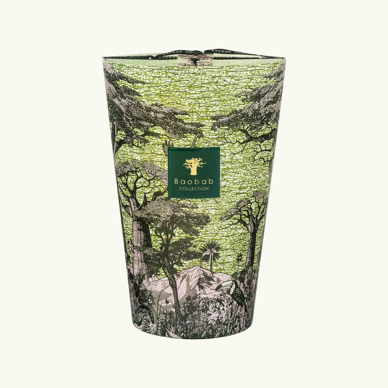 baobab collection sacred trees touba candle max 35