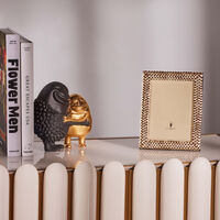 l objet haas huggers box