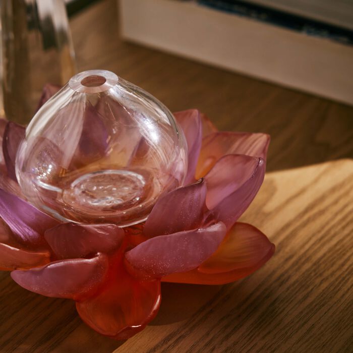 مزهرية جاردان دو لوتس سوليفور صغيرة الحجم باللون الوردي دوم مزهرية جاردان دو لوتس سوليفور صغيرة الحجم باللون الوردي