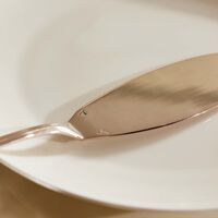 christofle albi fish serving knife silver plated