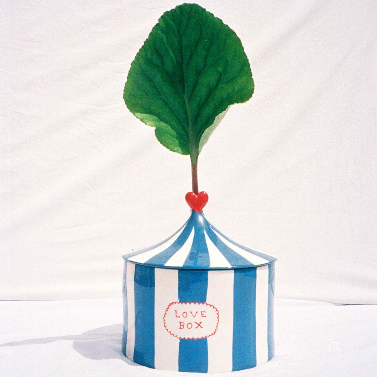 Love Box Blue laetita rouget love box blue