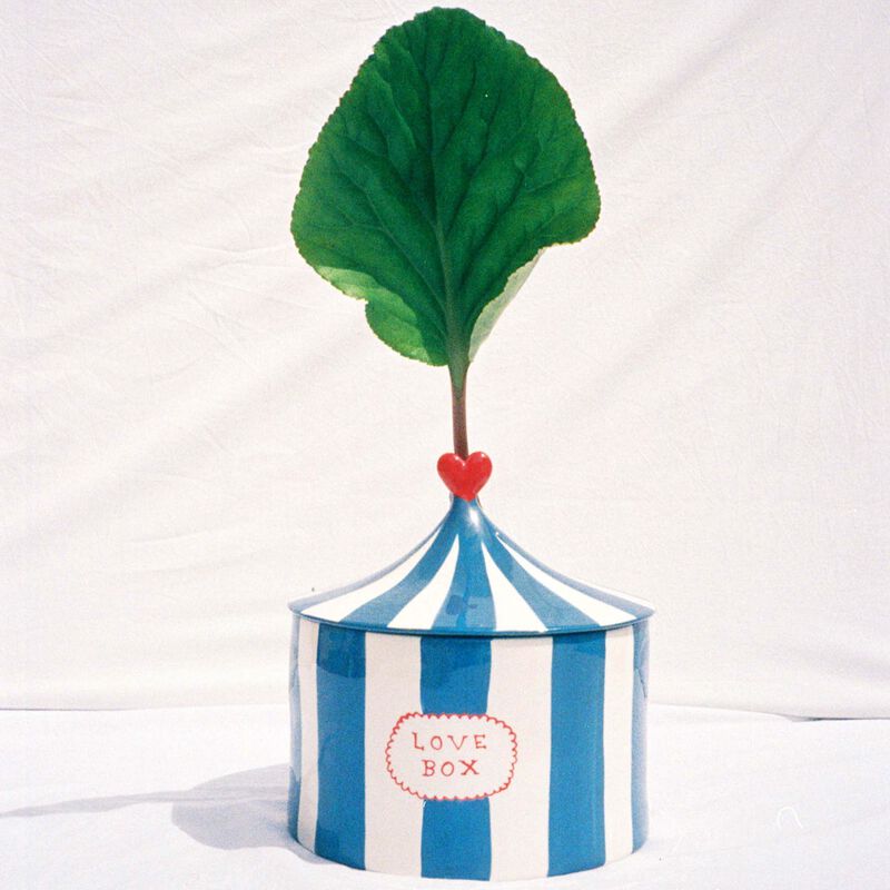 Love Box Blue laetita rouget love box blue
