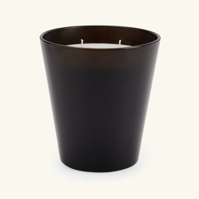 baobab collection encre de chine candle max 16