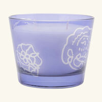 Collectible Roses Dark Parma Candle Max 10 baobab collection collectible roses dark parma candle max 10