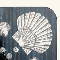 فورناسيتي إطار جيرو دي كونكيليه مع مرآة مزينة بفقاعات