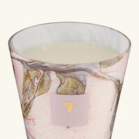baobab collection manon candles max 16