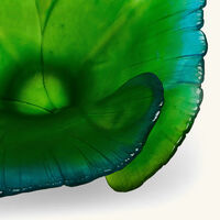 daum ginko centerpiece green