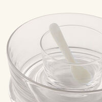 Ethan Caviar Set ralph lauren home ethan caviar set