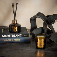 trudon gabriel candle 270g