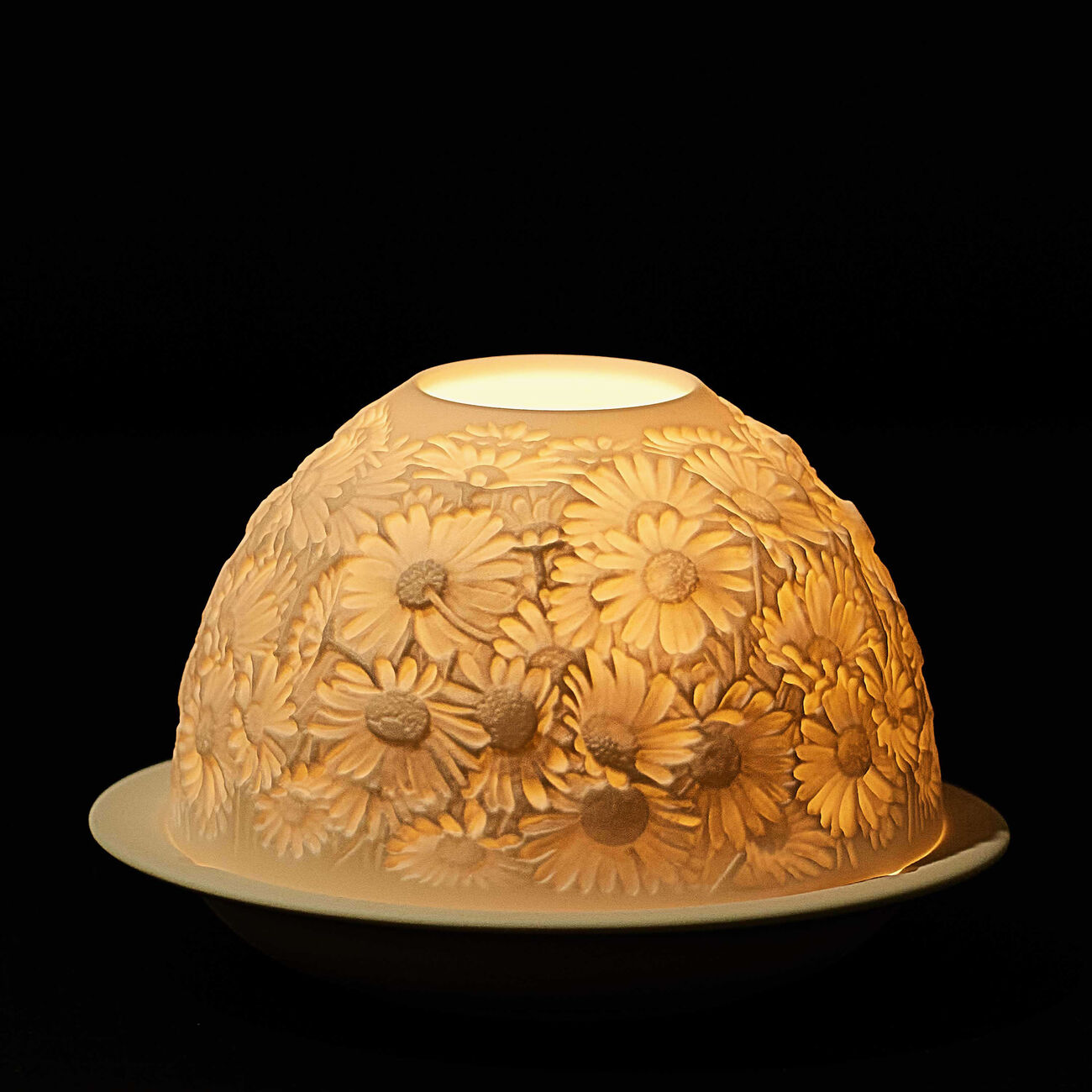 برناردو مصباح ليثوفاني ديزيز