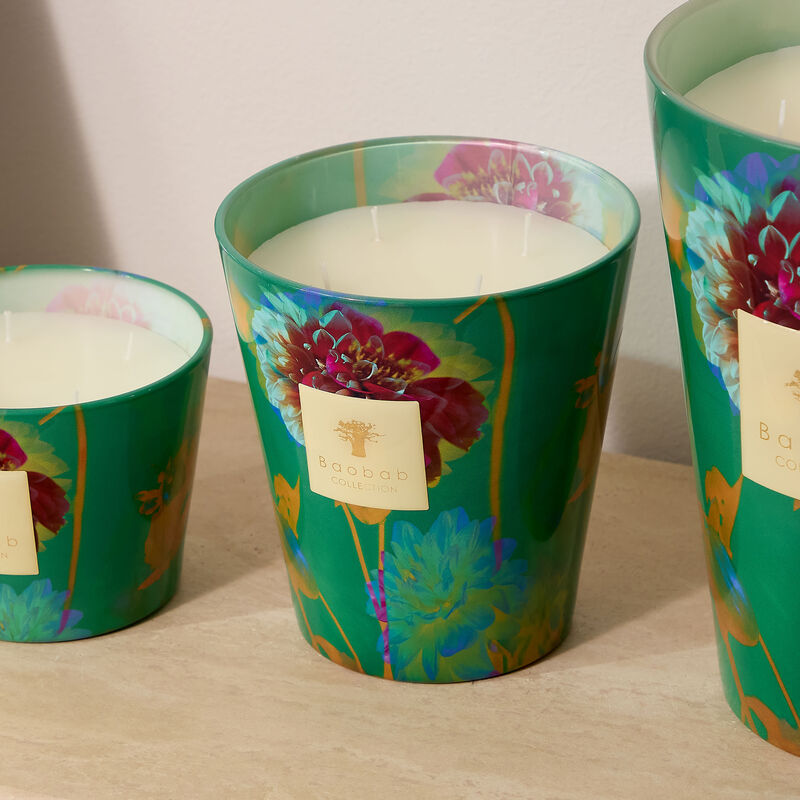 baobab collection bouquet candles max 16
