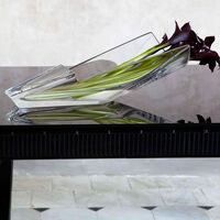 baccarat diva vase medium clear