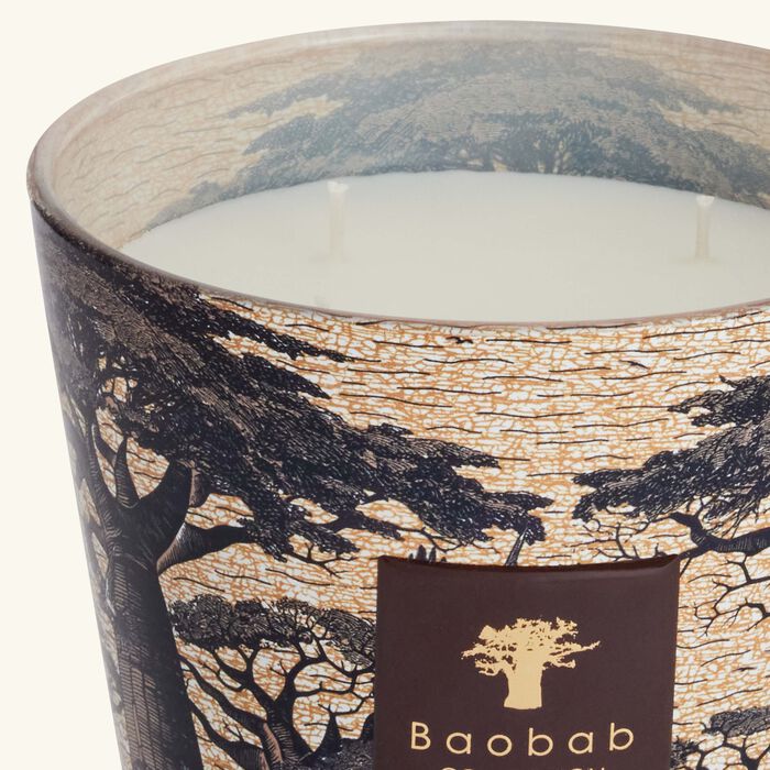 baobab collection sacred trees mankono candle max 16