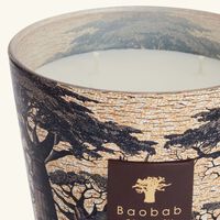 Sacred Trees Mankono Candle Max 16 baobab collection sacred trees mankono candle max 16
