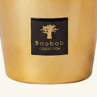 Les Exclusives Aurum Candle Max 10 baobab collection les exclusives aurum candle max 10