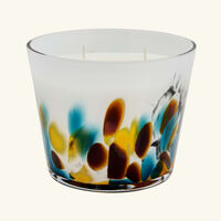 Rainforest Mayumbe Candle Max 10 baobab collection rainforest mayumbe candle max 10