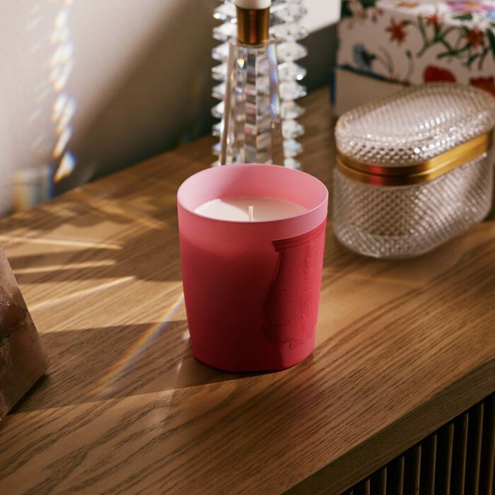 trudon summer haze candle 270g