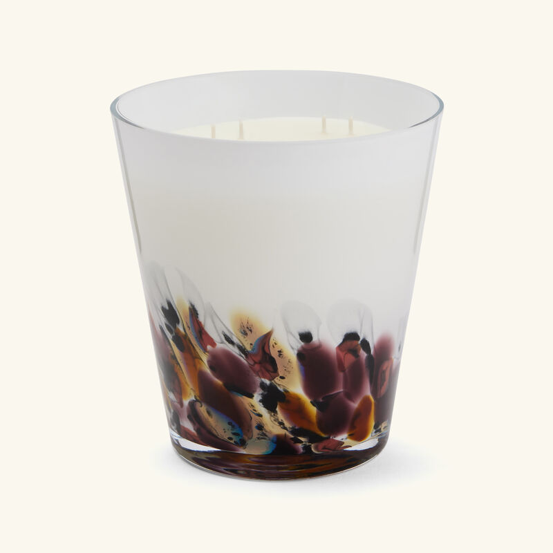 باوباب شمعة رينفورست تانجونغ ماكس 16