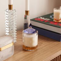 reflections copenhagen clarity candle oud