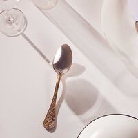christofle jardin d eden soup spoon gold
