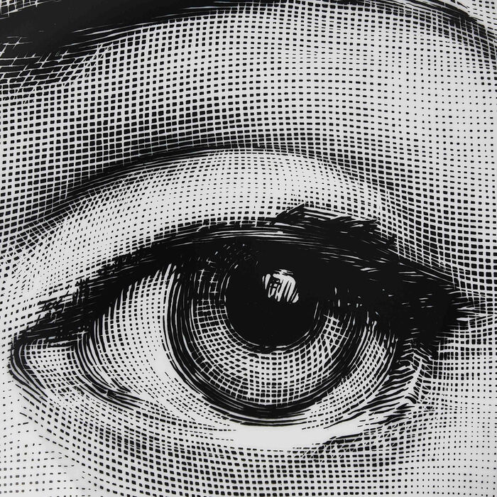 Tema e Variazioni no.248 Wall Plate fornasetti tema e variazioni no 248 wall plate