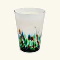 baobab collection rainforest amazonia candle max 24