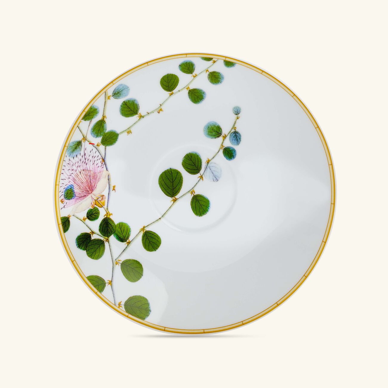 Jardin Indien Tea Cup & Saucer White Set Of 4 bernardaud jardin indien tea cup saucer white set of 4