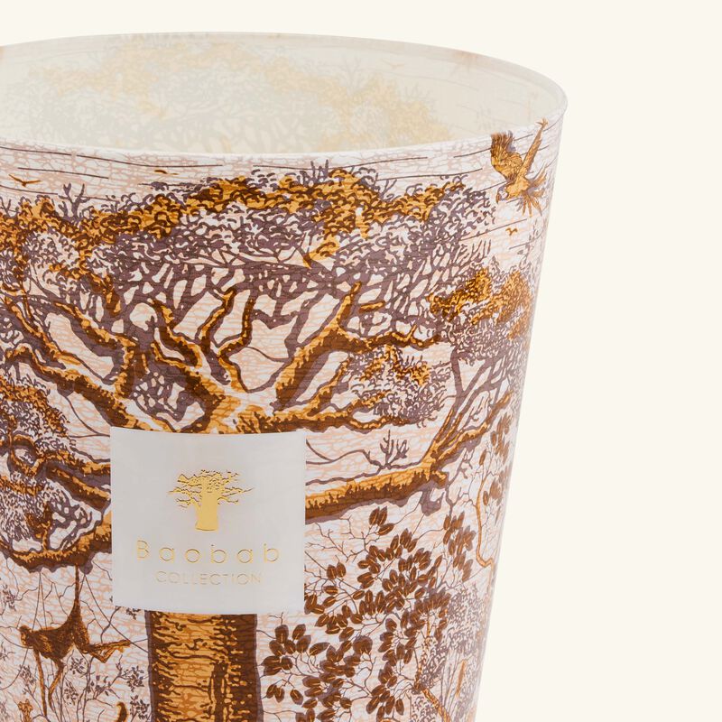 Sacred Trees Dualla Candle Maxi Max baobab collection sacred trees dualla candle maxi max