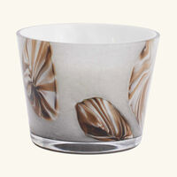 Oceania Anangu Candle Max 10 baobab collection oceania anangu candle max 10