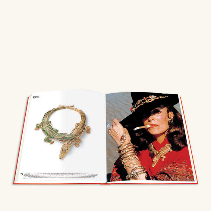 assouline the impossible collection of jewelry book 42x35 5cm