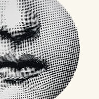 Tema e Variazioni no.397 Wall Plate fornasetti tema e variazioni no 397 wall plate