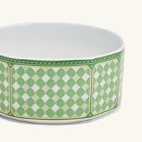 Signum Fern Salad Bowl Green rosenthal signum fern salad bowl green