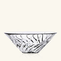 Speed Coppa Centerpiece Clear mario cioni c speed coppa centerpiece clear