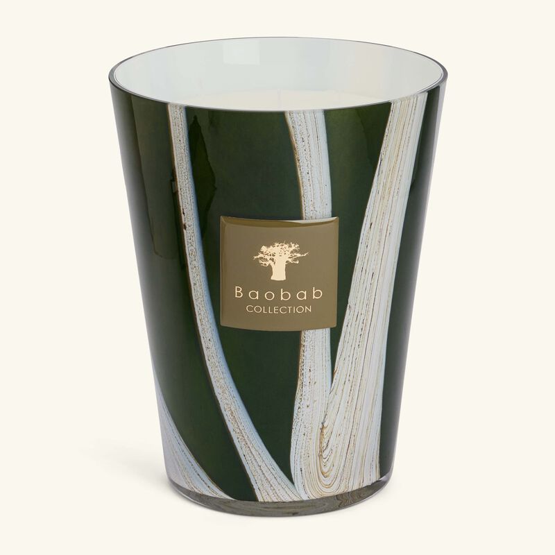 baobab collection woods sherwood candle max 24