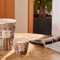 Sacred Trees Dualla Candle Max 10 baobab collection sacred trees dualla candle max 10