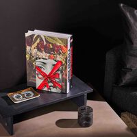 fornasetti tema e variazioni bookends