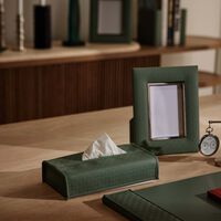 جيوبانيارا علبة مناديل إيلي صعب مونوغرام أجاتا باللون الأخضر