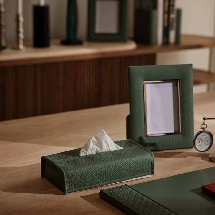 جيوبانيارا علبة مناديل إيلي صعب مونوغرام أجاتا باللون الأخضر