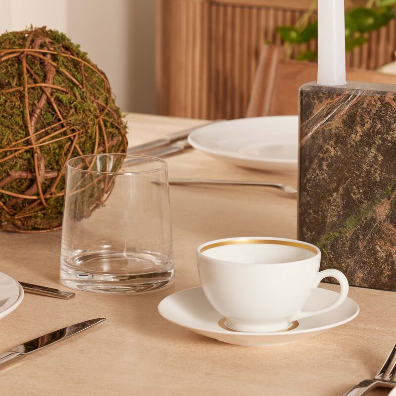 bernardaud cronos or tea cup   saucer white