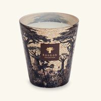 Sacred Trees Mankono Candle Max 16 baobab collection sacred trees mankono candle max 16