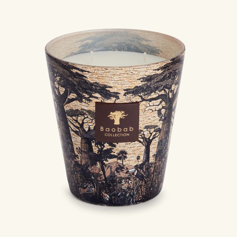 Sacred Trees Mankono Candle Max 16 baobab collection sacred trees mankono candle max 16