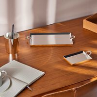 كريستوفل علبة الرسائل فيرتيجو مطلية بالفضة