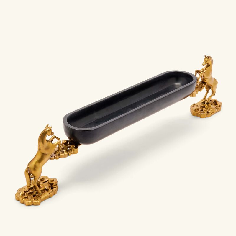 إيرا أودايبور صينية التمور أشوا ريجال