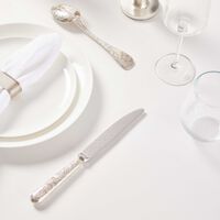 christofle jardin d eden dinner knife silver plated