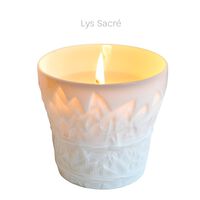Candle Tumbler Sacred Lilly, small