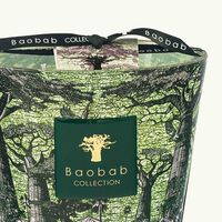 baobab collection sacred trees touba candle max 10