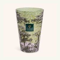 Sacred Trees Touba Candle Max 35 baobab collection sacred trees touba candle max 35