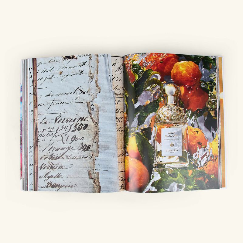 Guerlain: Visionary Since 1828 Book 10x13cm assouline guerlain visionary since 1828 book 10x13cm