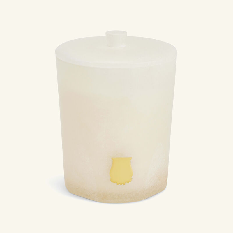 trudon ernesto candle 270g